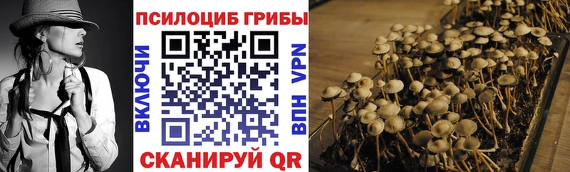 Псилоцибиновые грибы мицелий Ермолино